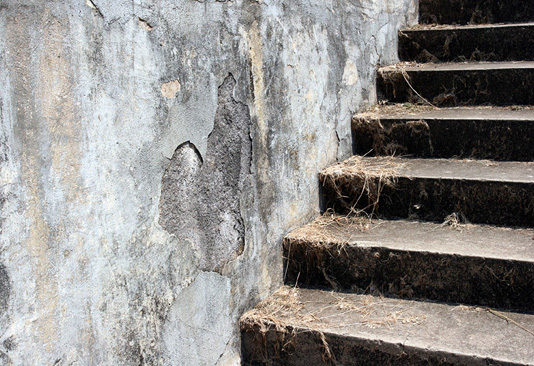 In Terra straniera di Andrea Polzoni 1415 0 In Terra straniera